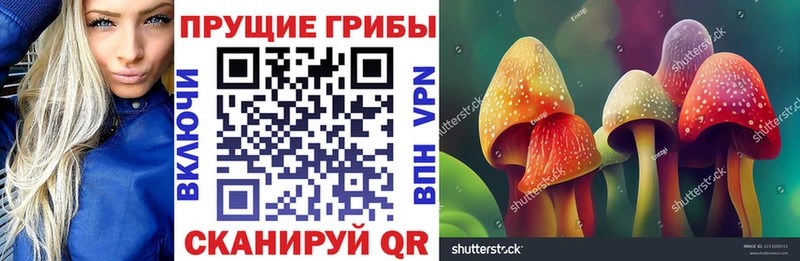 кракен зеркало  Починок  Псилоцибиновые грибы GOLDEN TEACHER  купить  